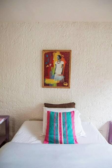 مدينة مكسيكو Villa Casa Ayvar. Espectacular Villa Colonial En El Corazon De Coyoacan. المظهر الخارجي الصورة