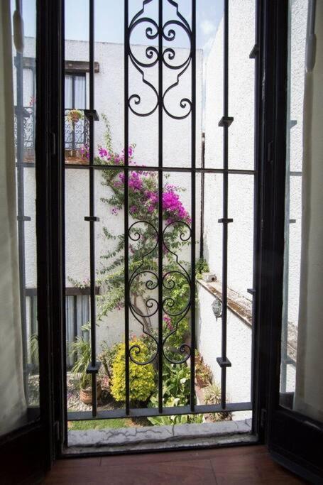 مدينة مكسيكو Villa Casa Ayvar. Espectacular Villa Colonial En El Corazon De Coyoacan. المظهر الخارجي الصورة