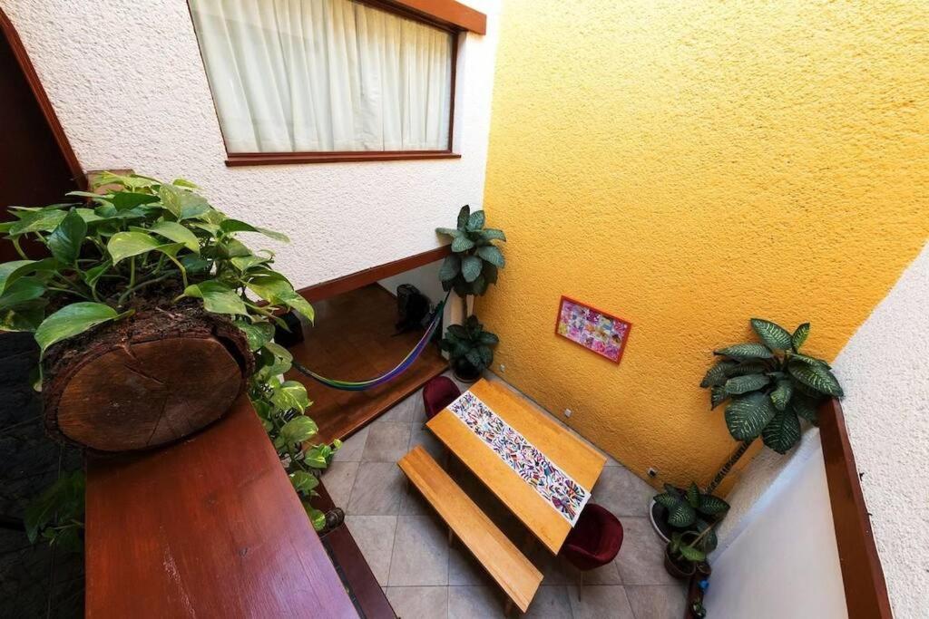 مدينة مكسيكو Villa Casa Ayvar. Espectacular Villa Colonial En El Corazon De Coyoacan. المظهر الخارجي الصورة