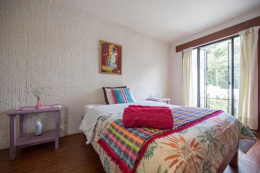 مدينة مكسيكو Villa Casa Ayvar. Espectacular Villa Colonial En El Corazon De Coyoacan. المظهر الخارجي الصورة